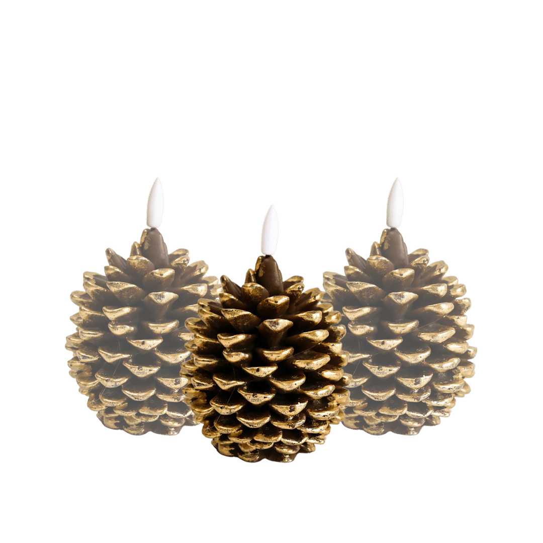 LED Kaarsen Set Dennenappel RC - Set of 3